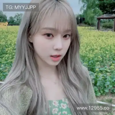 李云迪